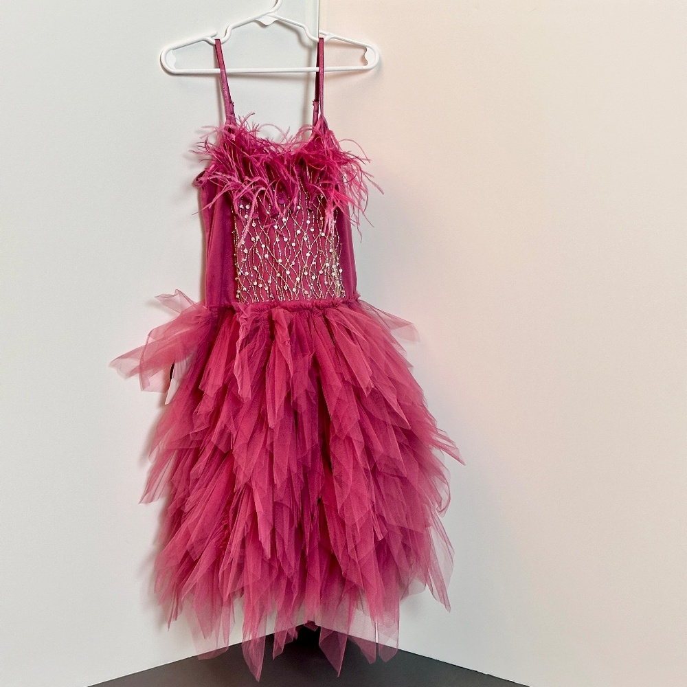 Tutu Du Monde  Dress
